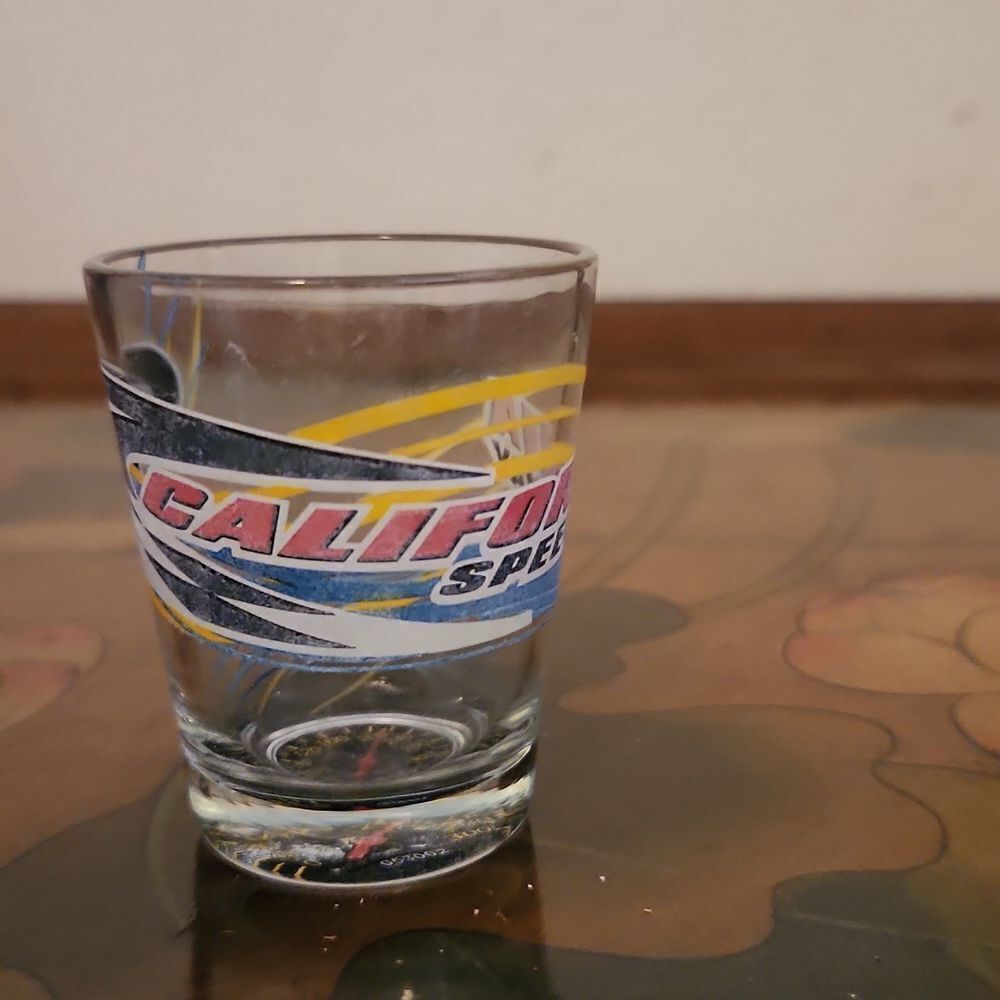 California Speedway Shot Glass